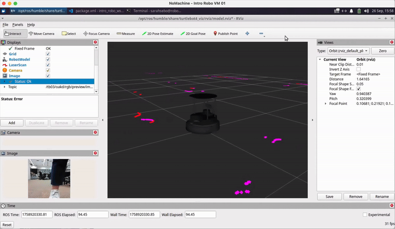 RViz camera and LiDAR